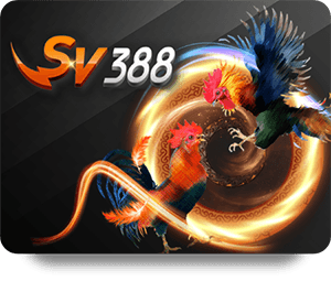 VSBET Dự Đoán Chuẩn: Tăng Cơ Hội Thắng Mỗi Ngày